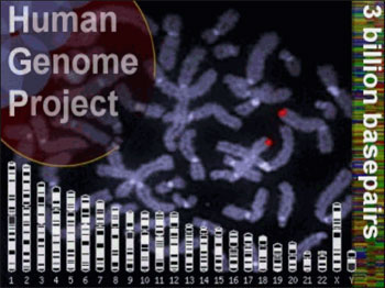 human_genome_project-rew